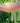 Achla Metal Bird Bath and Stake, Polished Copper