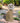 Ancient Graffiti Upright River Stone Cat Statue