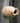 Anthony Stoneware Bottle Bird House, Butternut