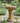 Athens "His Eye is on the Sparrow" Bird Bath, Espresso