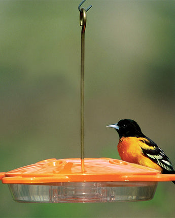 Aspects Oriole Feeder, 16 oz.