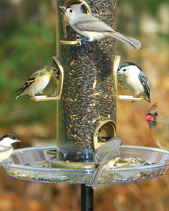 Aspects Bigfoot Seed Tray for Quick-Clean Feeders, 12" dia.