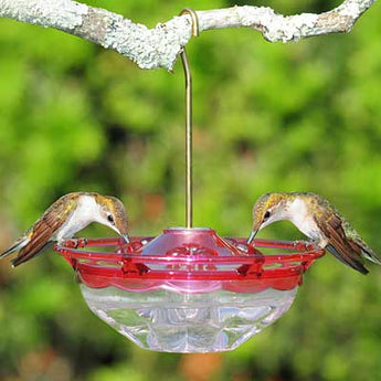 Aspects HummBlossom Hummingbird Feeder, Rose, 4 oz.