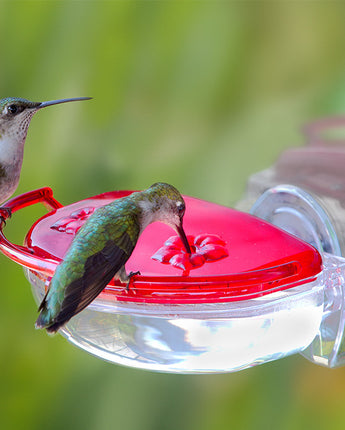 Aspects Gem Window Hummingbird Feeder, 4 oz.