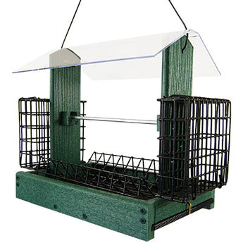 Audubon Going Green 5-in-1 Bird Feeder, Green