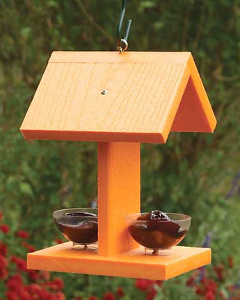 Audubon Going Green Oriole Feeder with Fruit Dishes