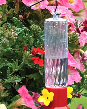 Audubon Staked Garden Hummingbird Feeders, Pack of 6