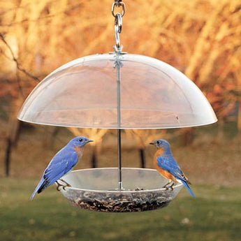 Audubon Domed Wild Bird Feeder