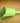 Audubon Seed Scoop