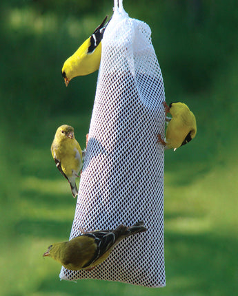 Audubon Thistle Sock Bird Feeder