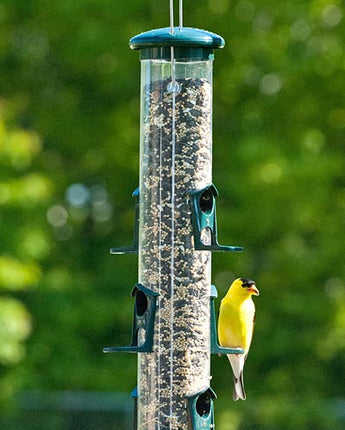 Audubon Seed Tube Bird Feeder, Green, 15"