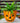 Urban Gardener Jack-O-Lantern Fiber Clay Pot, 12" dia.