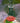 Best-1 Glass Hummingbird Feeder, 32 oz.