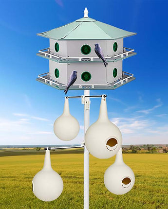 Heath 12-Room Deluxe Purple Martin House, Gourds, & Decoys