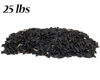 Black Oil Sunflower Seed, 25 lbs. (Call for in store pricing)