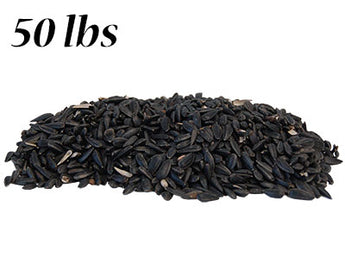 Black Oil Sunflower Seed, 50 lbs. (Call for in store pricing)