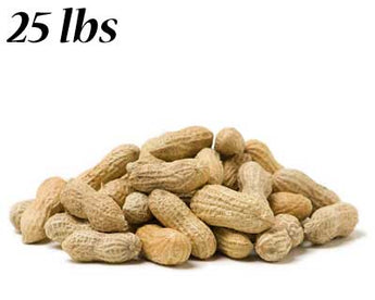 Peanuts in the Shell, 25 lbs. (Call for in store pricing)