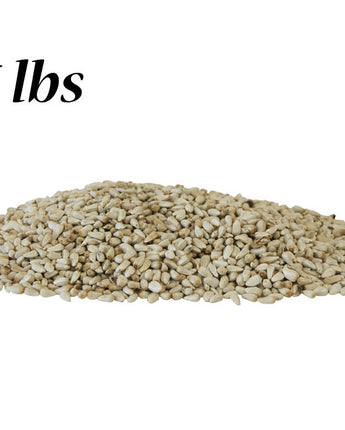 Safflower Seed, 5 lbs.