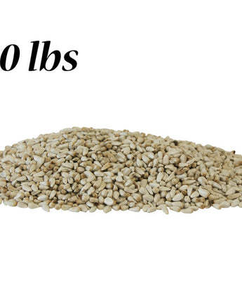 Safflower Seed, 50 lbs. (Call for in store pricing)