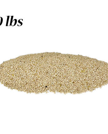 White Millet, 10 lbs.