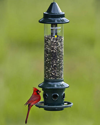 Brome Squirrel Buster Plus Squirrel Proof Bird Feeder
