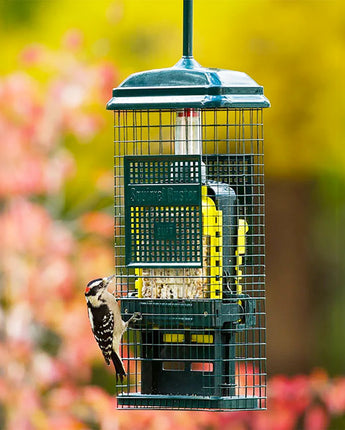 Brome Squirrel Buster Suet Feeder