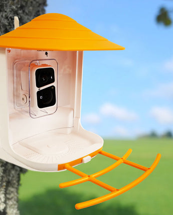 BeakView Bird Feeder Camera