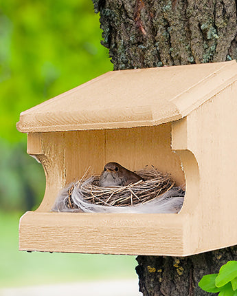 Coveside Open Nest Box