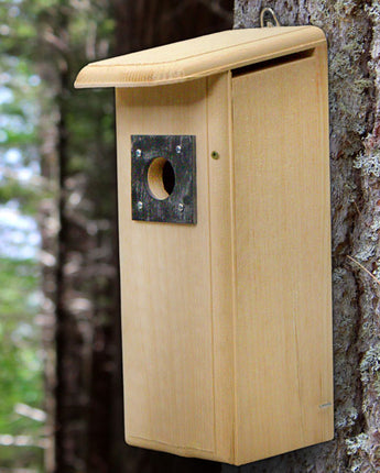 Coveside Downy Woodpecker House