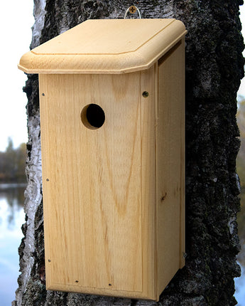 Coveside Chickadee House