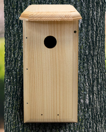 Coveside Nuthatch House