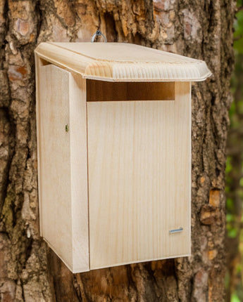 Coveside Sparrow-Resistant Eastern Bluebird House