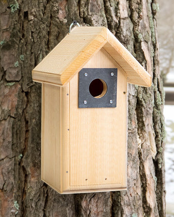 Coveside Backyard Bird House