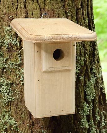 Coveside Classic Eastern Bluebird House with Large Roof