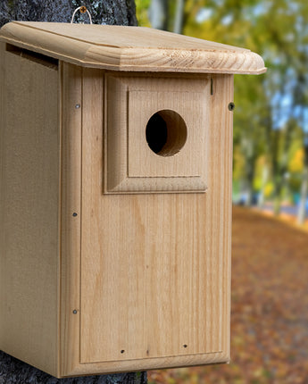 Coveside Western Bluebird House