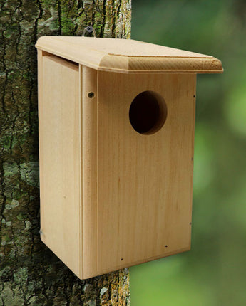 Coveside Flycatcher Bird House