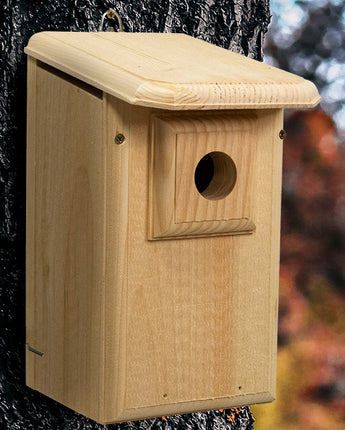 Coveside Western Bluebird House with Observation Window