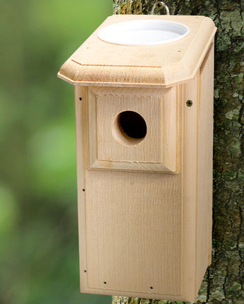 Coveside Open-Top Eastern Bluebird House