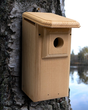 Coveside Two-Sided Observation Eastern Bluebird House