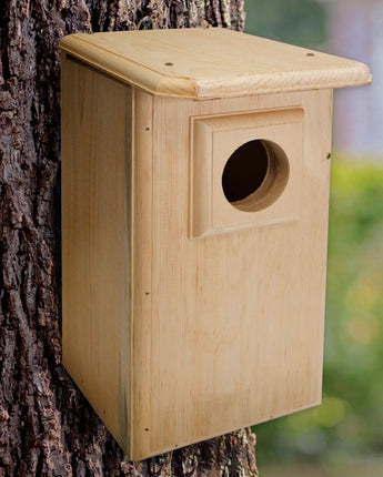 Coveside Saw-Whet and Screech Owl House