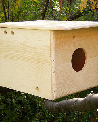 Coveside Barn Owl House