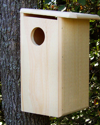 Coveside Squirrel House