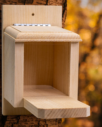 Coveside Peanut Box Squirrel Feeder