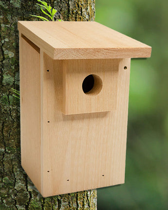 Coveside Basic Western Bluebird Trail Box