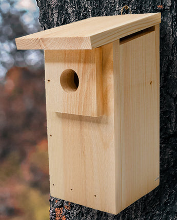 Coveside Basic Eastern Bluebird Trail Box