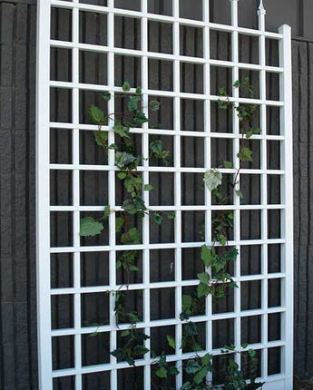 Dura-Trel Winchester Trellis, White, 96"H