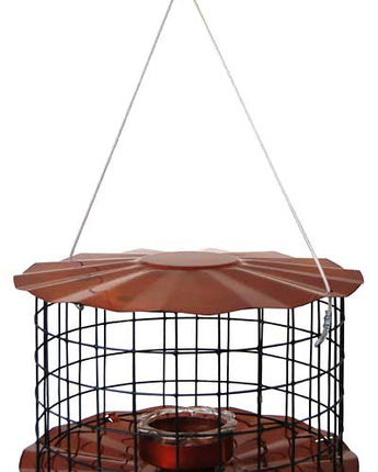 Erva Caged Bluebird Feeder, Copper Colored