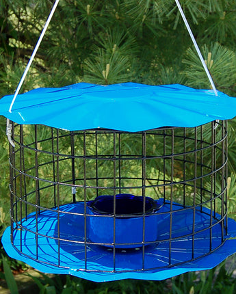 Erva Caged Bluebird Feeder, Blue