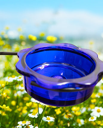 Erva Quick Connect Arm with Glass Feeding Dish, Blue