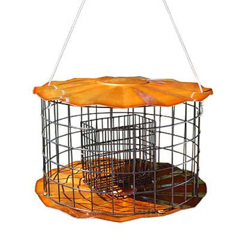 Erva Caged Double Suet Feeder, Copper